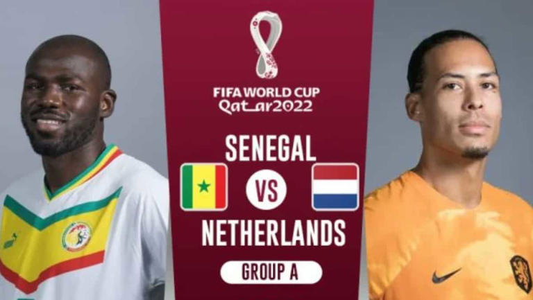 Senegal vs Netherlands November 21 match highlight